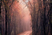 关于数据复盘：利雅得新月首回合对阵广州队，萨拉赫效率值爆表的信息